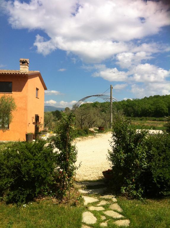 Fattoria Del Quondam Giano dell'Umbria Exterior photo