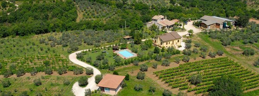 Fattoria Del Quondam Giano dell'Umbria Exterior photo